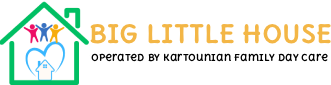 Big Little House 